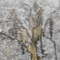 arbre,pierre,hiver,