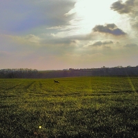 ciel,nuages,couchant,