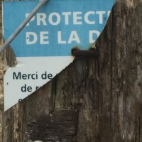 protection,