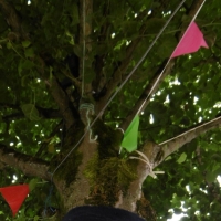 arbre,fanions,drapeaux,