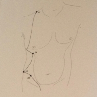homme,anatomie,tors,